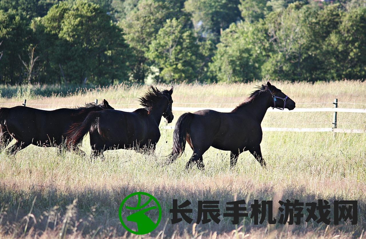 (御龙在天礼包领取大全专区)免费领取御龙在天新区礼包码，快来抢取福利吧！